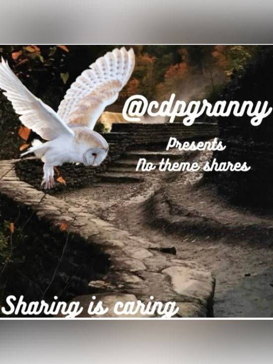 Accessories - SHARE SHOW